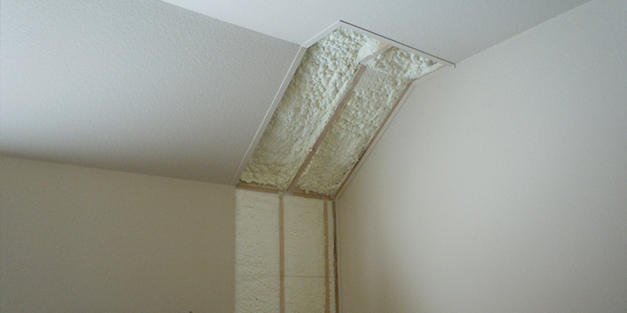 Spray Foam in the Building Envelope