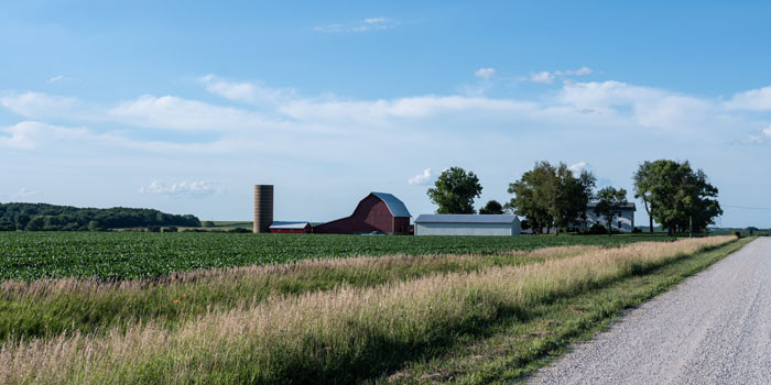 Saving Face & a Farm