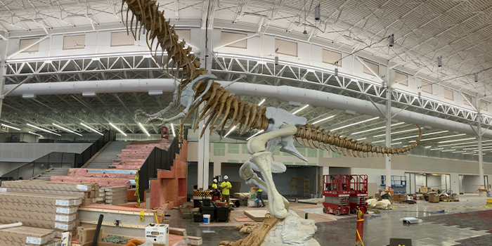 T-rex-tra Special Sculpture