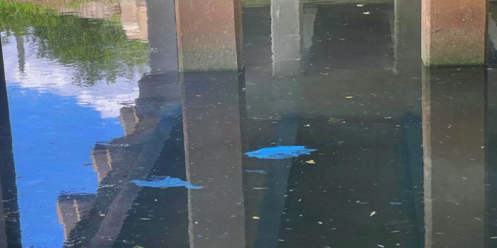 Overspray Adds Blue Hue to Florida River