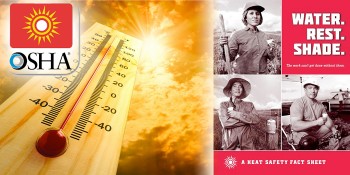 OSHA Exclusive: Protecting Workers from Heat Illness 