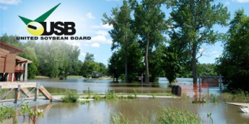 Biobased Soy Spray Foam Insulation Protects in Flood-Prone Areas