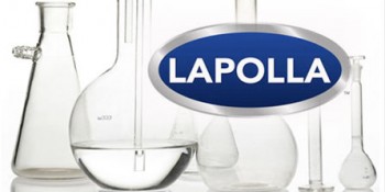Roger Ervast Joins Lapolla Industries, Inc.