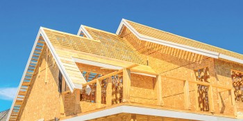 How to Use the Oxygen Depletion Protocol for Attics and Crawl Spaces