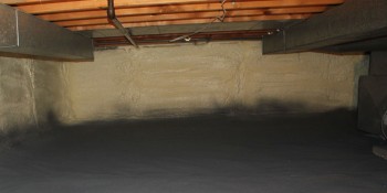 Spray Foam Industry & Pest Management Association Work Together on Home Protection