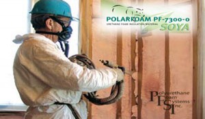 Ecological Spray Foam Insulation Manufactured from Recycled Plastics and Soya
